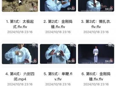 在小红书上花了199买来的八段锦，太极拳教学合集